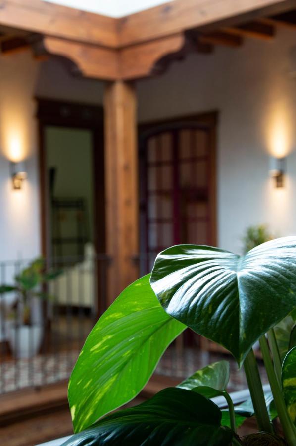 La Casa Del Medico Hosteria Rural Urda Exteriér fotografie